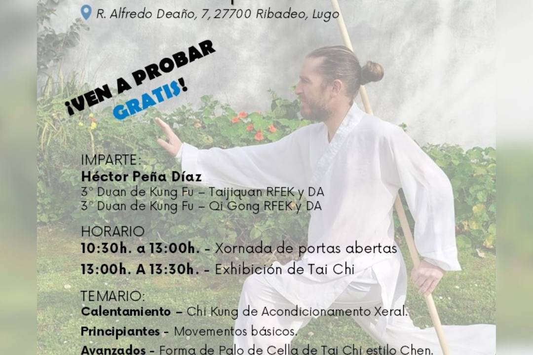Cartel Kung Fu Ribadeo (26 abril 2025)