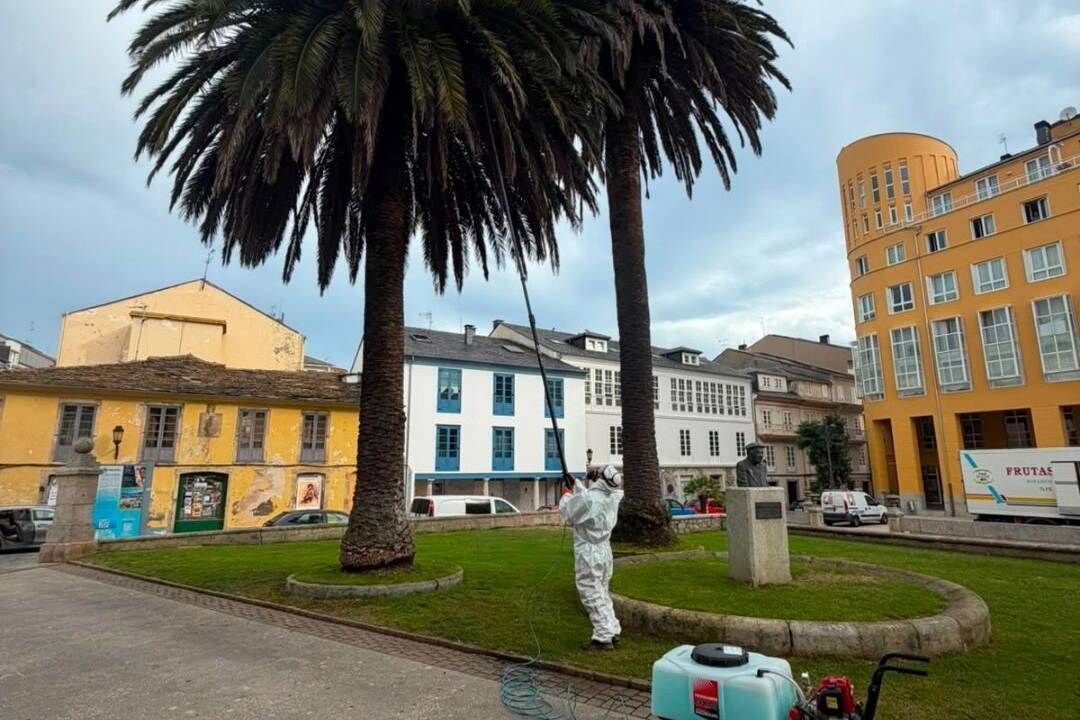 Ribadeo segue amañando as bases dos contedores en todas as parroquias e instalando novas marquesiñas nas paradas de buses.2