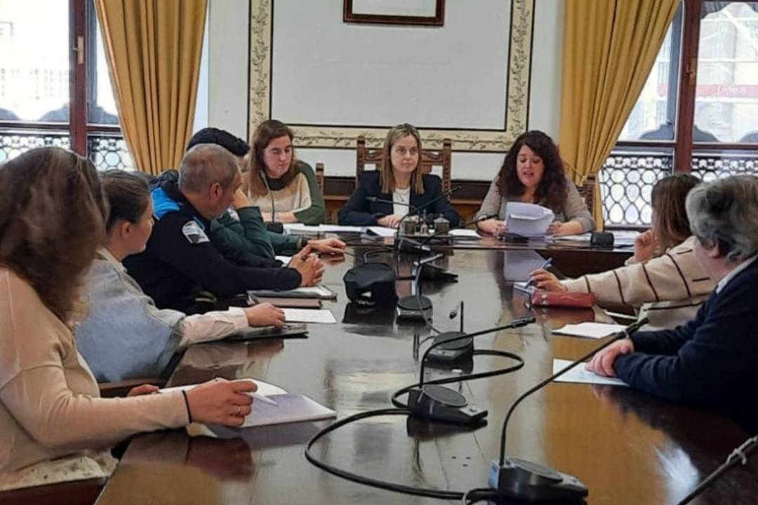 coordinación interinstitucional contra a violencia de xénero