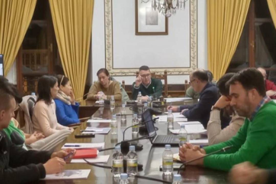 pleno ilunicacion rotondas